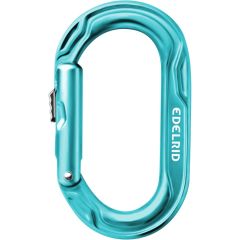 Edelrid Kiwi Slider Carabiner - Icemint